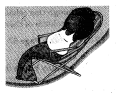 NCERT Solutions for Class 5 Maths Chapter 4 Parts And Wholes Page 68 Q2