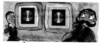 NCERT Solutions for Class 5 Maths Chapter 5 Does it Look The Same Page 78 Q1