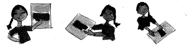 NCERT Solutions for Class 5 Maths Chapter 5 Does it Look The Same Page 78 Q3.1