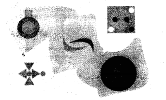 NCERT Solutions for Class 5 Maths Chapter 5 Does it Look The Same Page 82 Q1.3