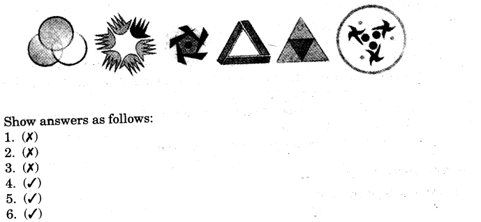 NCERT Solutions for Class 5 Maths Chapter 5 Does it Look The Same Page 85 Q3.1