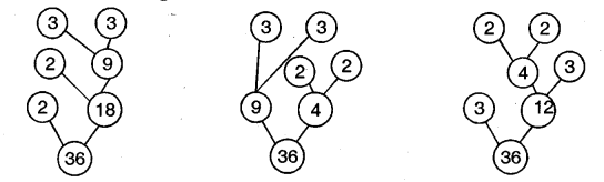 NCERT Solutions for Class 5 Maths Chapter 6 Be My Multiple, I’ll Be Your Factor Page 97 Q3