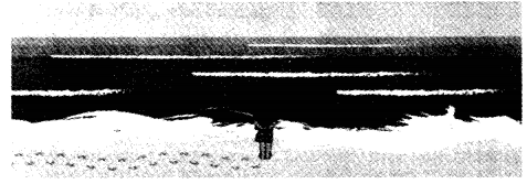 NCERT Solutions for Class 5 Maths Chapter 8 Mapping Your Way Page 123 Q1