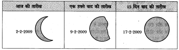 NCERT Solutions for Class 5 पर्यावरण अध्ययन Chapter 11 सुनीता 3