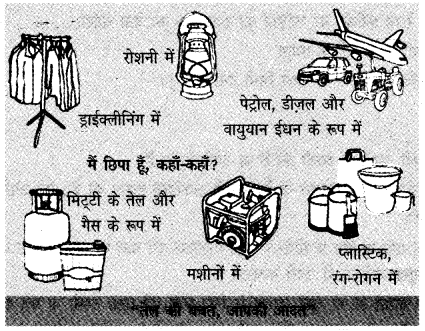NCERT Solutions for Class 5 पर्यावरण अध्ययन Chapter 12 खत्म हो जाए तो 3