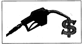 NCERT Solutions for Class 5 पर्यावरण अध्ययन Chapter 12 खत्म हो जाए तो 7