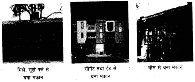 NCERT-Solutions-for-Class-5-पर्यावरण-अध्ययन-Chapter-13-बसेरा-ऊँचाई-पर-1