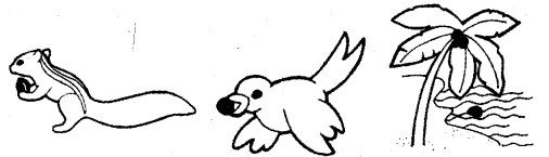 NCERT Solutions for Class 5 पर्यावरण अध्ययन Chapter 5 बीज ,बीज ,बीज 3