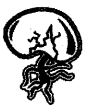 NCERT-Solutions-for-Class-5-पर्यावरण-अध्ययन-Chapter-5-बीज-बीज-बीज-4