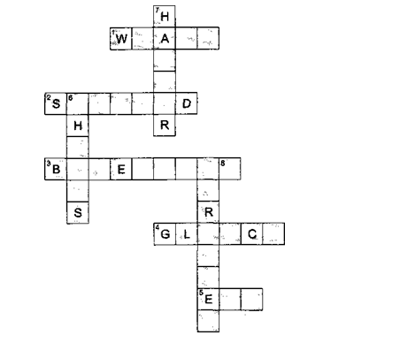 NCERT-Solutions-for-Class-6-English-Chapter-1-Who-Did-Patricks-Homework-Working-with-Language-1