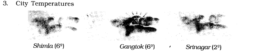 NCERT Solutions for Class 6 English Chapter 10 The Banyan Tree Speaking 3