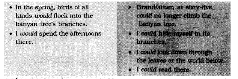 NCERT-Solutions-for-Class-6-English-Chapter-10-The-Banyan-Tree-Working-with-Language-1