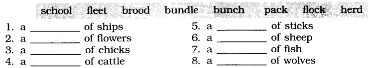 NCERT-Solutions-for-Class-6-English-Chapter-2-How-the-Dog-Found-Himself-Working-with-Language-1