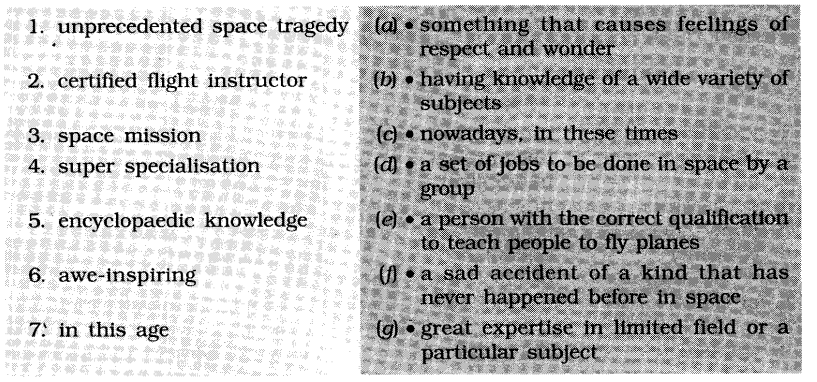 NCERT-Solutions-for-Class-6-English-Chapter-4-An-Indian-American-Woman-in-Space-Working-with-Language-1