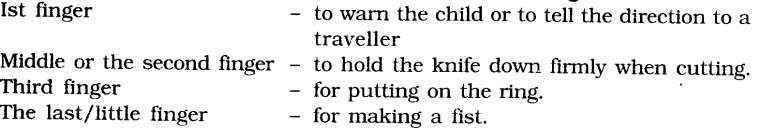NCERT Solutions for Class 6 English Chapter 5 A Different Kind of School Working with Text Q4