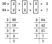 NCERT Solutions for Class 6 Maths Chapter 3 Playing With Numbers