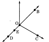 NCERT-Solutions-for-Class-6-Maths-Chapter-4-Basic-Geometrical-Ideas-Ex-4