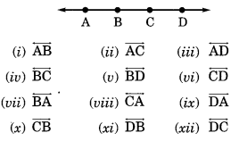 NCERT Solutions for Class 6 Maths Chapter 4 Basic Geometrical Ideas