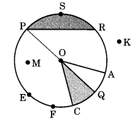 NCERT Solutions for Class 6 Maths Chapter 4 Basic Geometrical Ideas 