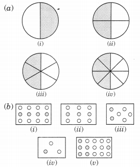 NCERT Solutions for Class 6 Maths Chapter 7 Fractions