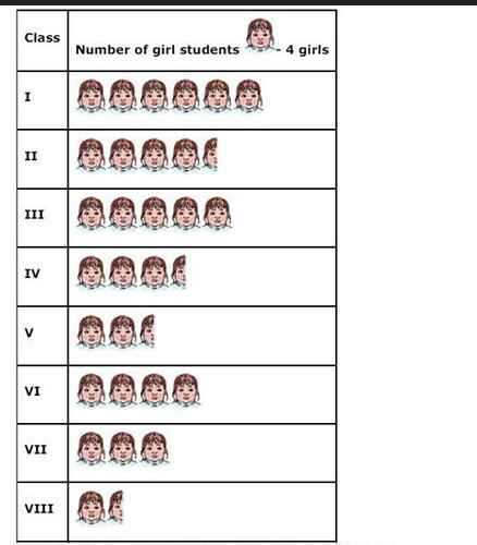 NCERT Solutions for Class 6 Maths Chapter 9 Data Handling Ex 9.1 Q9