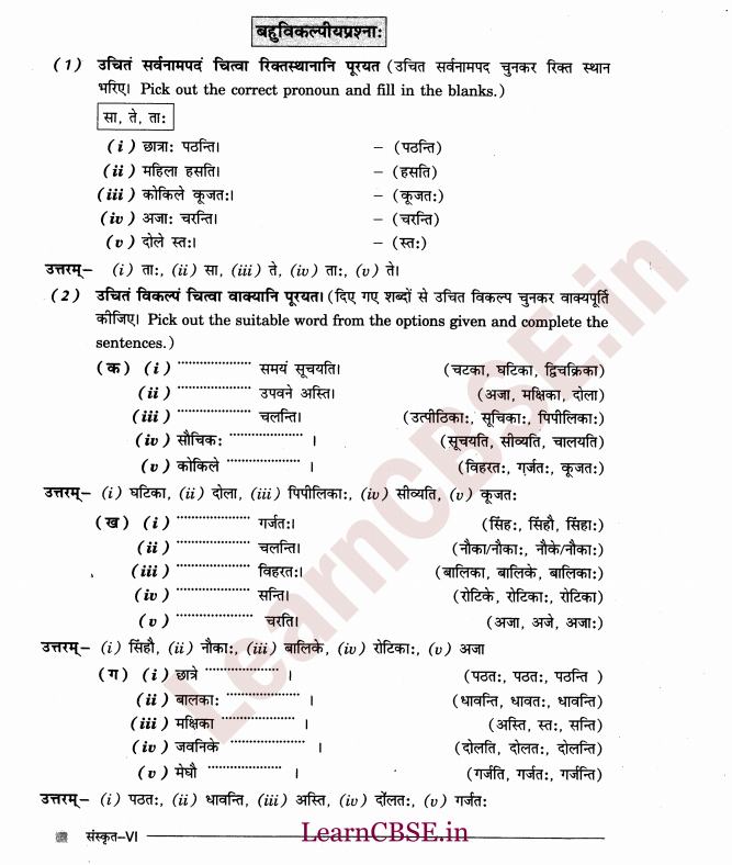 NCERT Solutions for Class 6 Sanskrit Chapter 2 - आकारान्त - स्त्रीलिंग 11