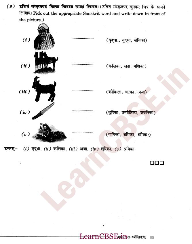 NCERT Solutions for Class 6 Sanskrit Chapter 2 - आकारान्त - स्त्रीलिंग 12