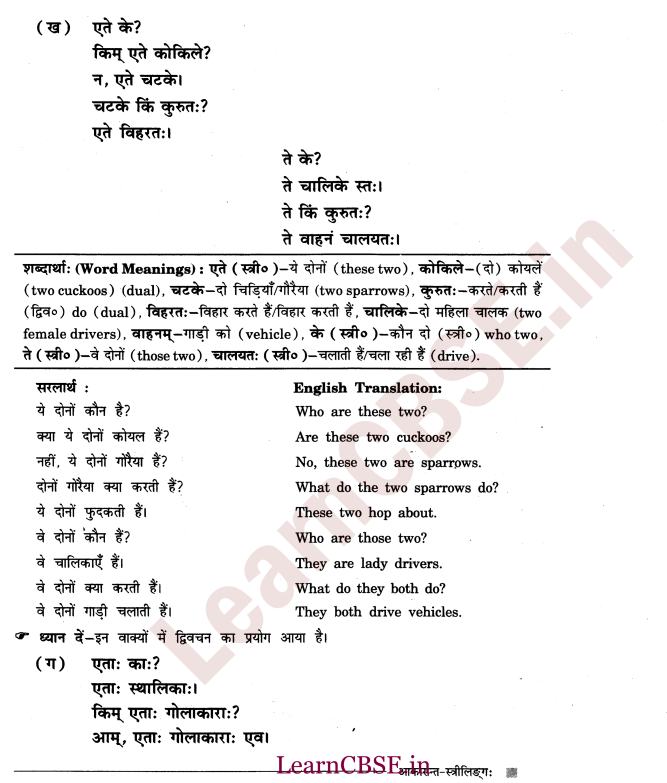 NCERT Solutions for Class 6 Sanskrit Chapter 2 - आकारान्त - स्त्रीलिंग 2