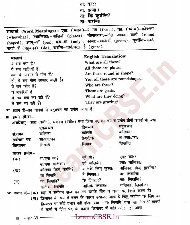 NCERT Solutions for Class 6 Sanskrit Chapter 2 - आकारान्त - स्त्रीलिंग 3