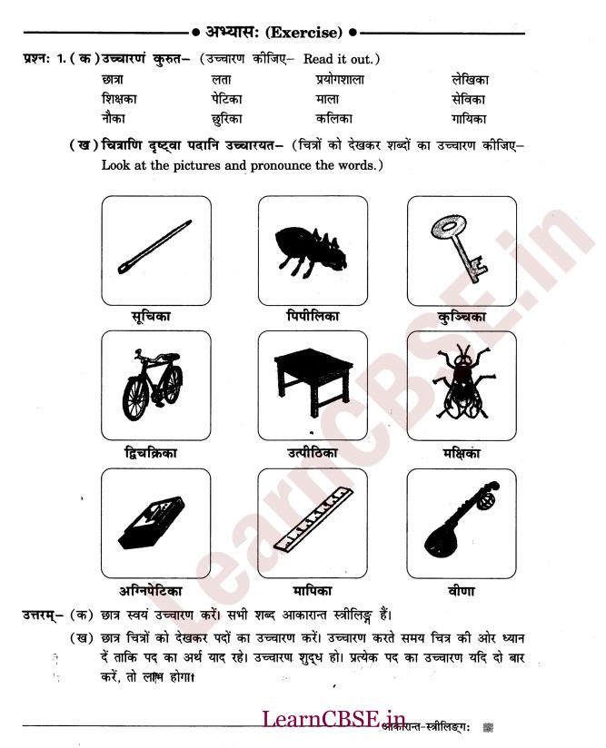NCERT Solutions for Class 6 Sanskrit Chapter 2 - आकारान्त - स्त्रीलिंग 4