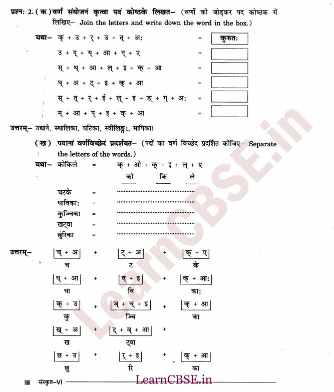 NCERT Solutions for Class 6 Sanskrit Chapter 2 - आकारान्त - स्त्रीलिंग 5
