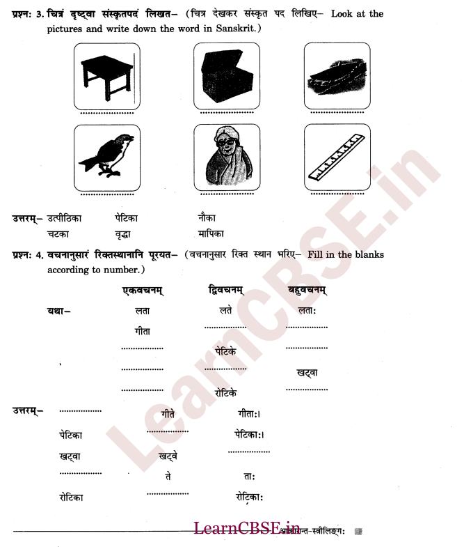 NCERT Solutions for Class 6 Sanskrit Chapter 2 - आकारान्त - स्त्रीलिंग 6
