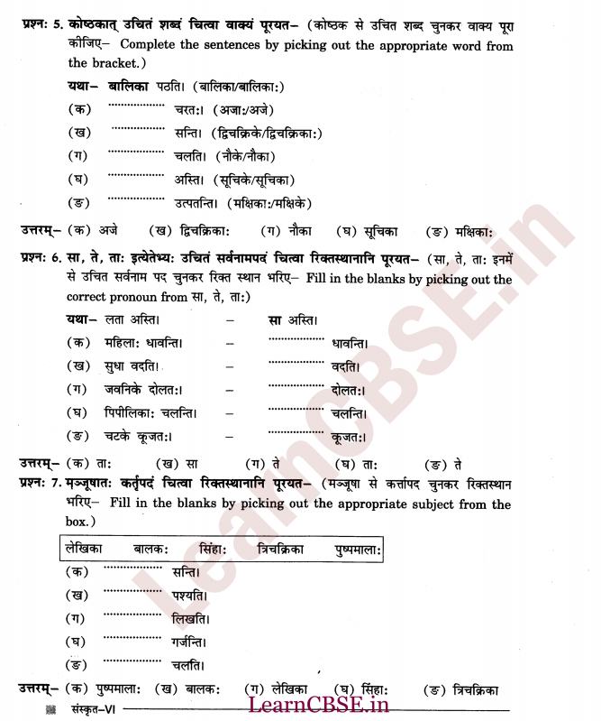 NCERT Solutions for Class 6 Sanskrit Chapter 2 - आकारान्त - स्त्रीलिंग 7