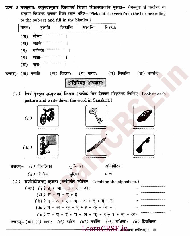NCERT Solutions for Class 6 Sanskrit Chapter 2 - आकारान्त - स्त्रीलिंग 8