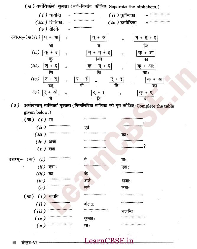 NCERT Solutions for Class 6 Sanskrit Chapter 2 - आकारान्त - स्त्रीलिंग 9