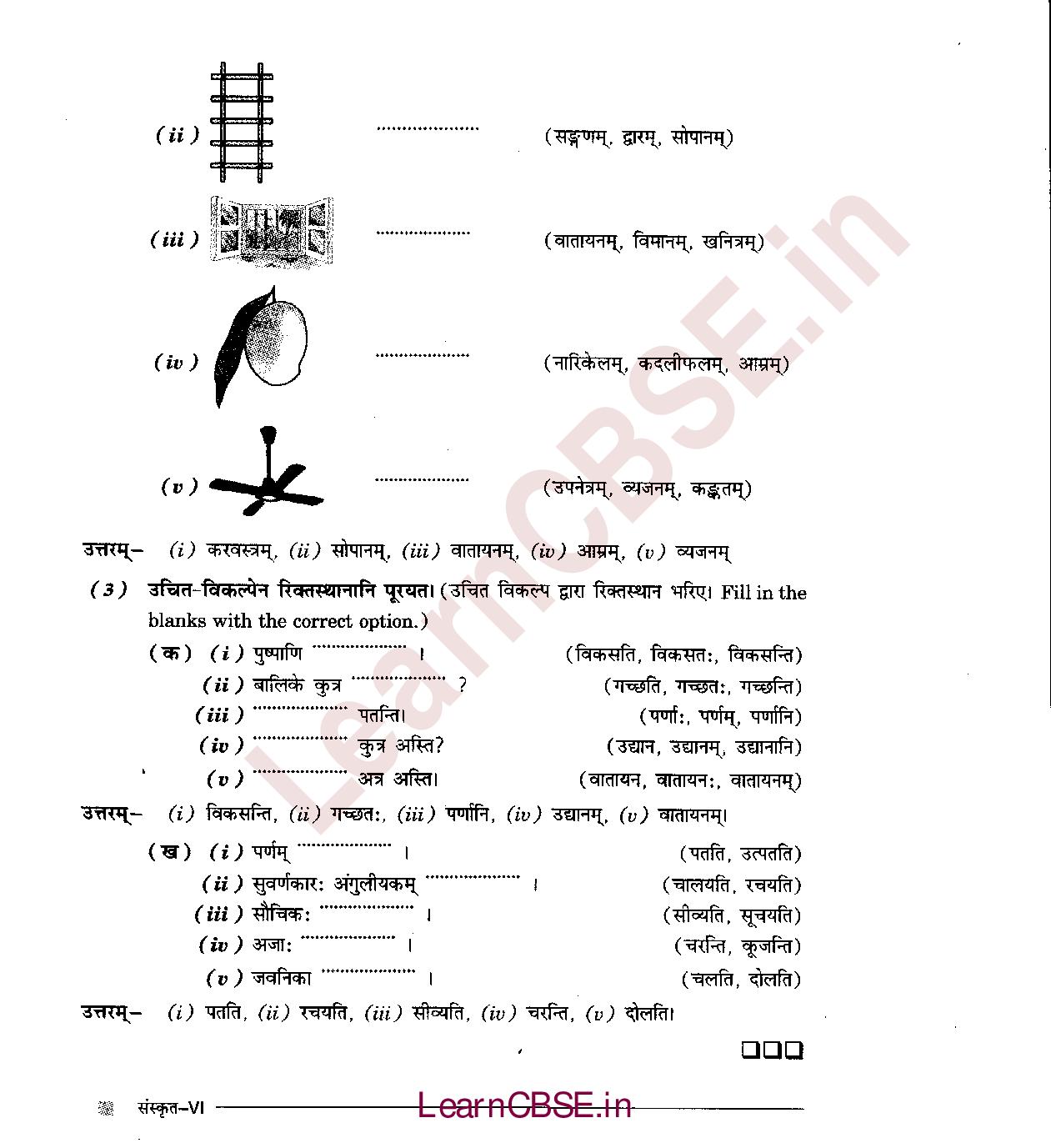 NCERT Solutions for Class 6 Sanskrit Chapter 3 - अकारान्त - नपुंसकलिंग 11