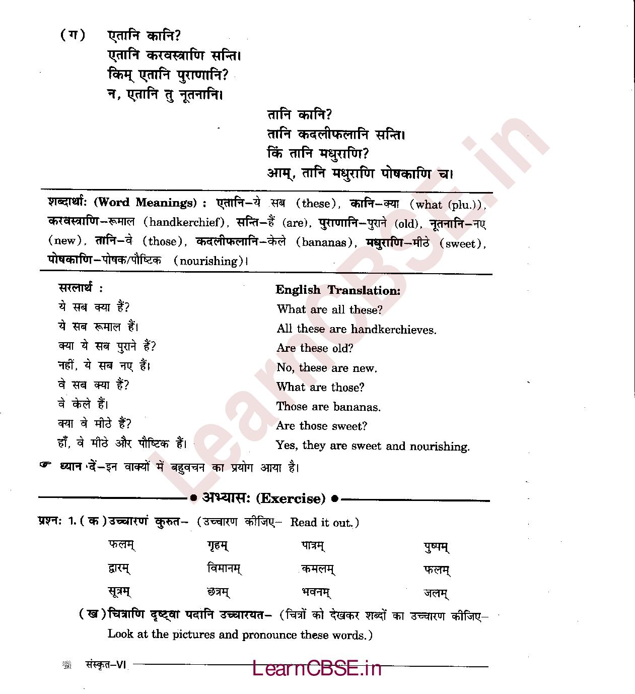 NCERT Solutions for Class 6 Sanskrit Chapter 3 - अकारान्त - नपुंसकलिंग 3