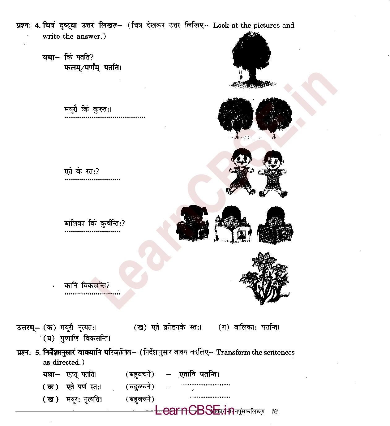 NCERT Solutions for Class 6 Sanskrit Chapter 3 - अकारान्त - नपुंसकलिंग 6