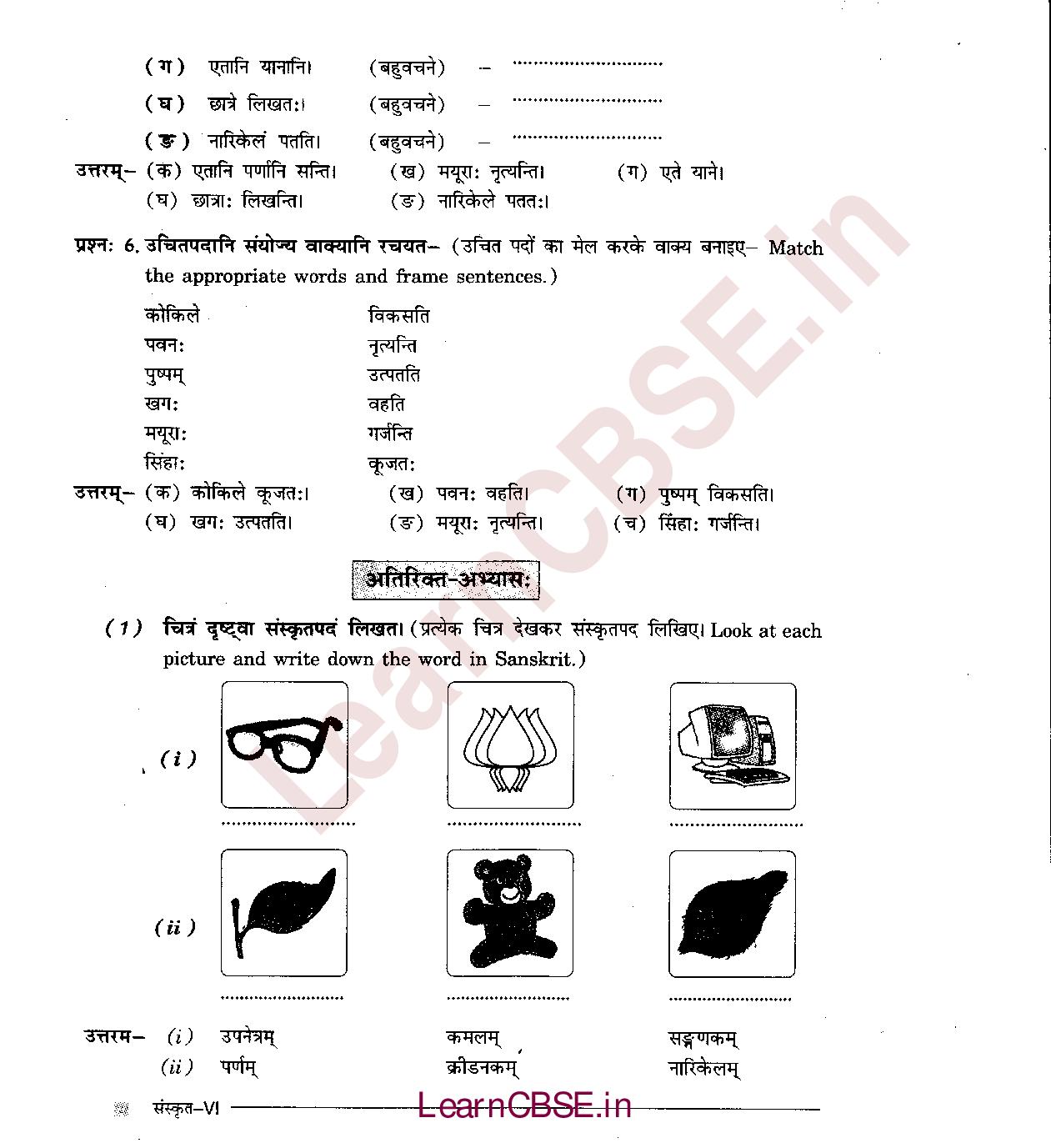 NCERT Solutions for Class 6 Sanskrit Chapter 3 - अकारान्त - नपुंसकलिंग 7