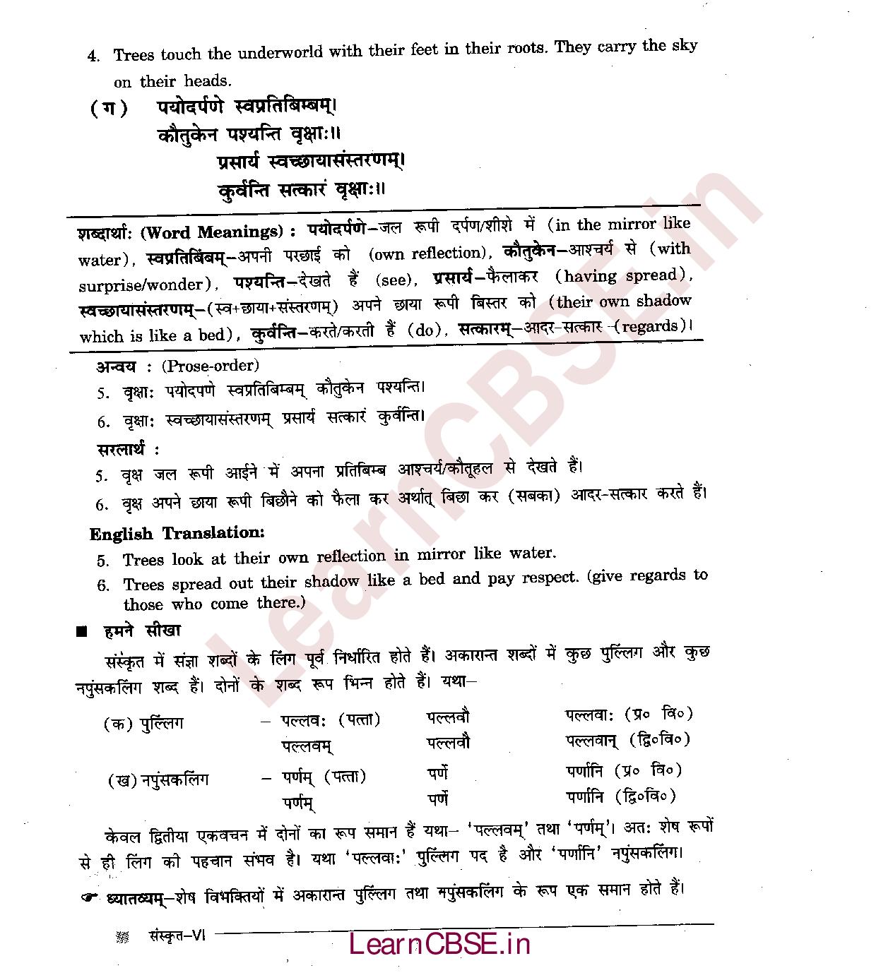NCERT Solutions for Class 6 Sanskrit Chapter 5 - वृक्षाः 3