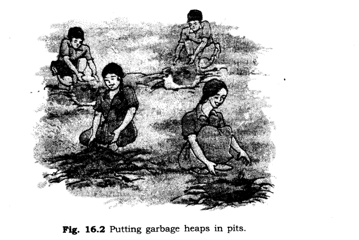NCERT-Solutions-for-Class-6-Science-Chapter-16-Garbage-In-Garbage-Out-Q1