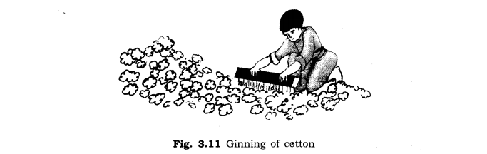 NCERT Solutions for Class 6 Science Chapter 3 Fibre to Fabric LAQ Q1