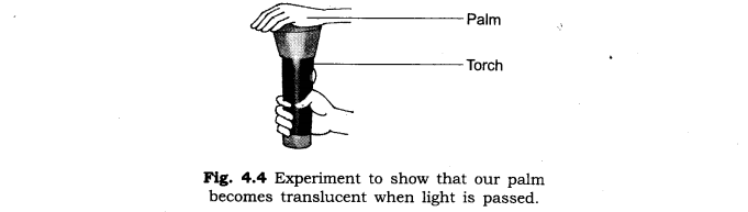 NCERT Solutions for Class 6 Science Chapter 4 Sorting Materials Into Groups LAQ Q3