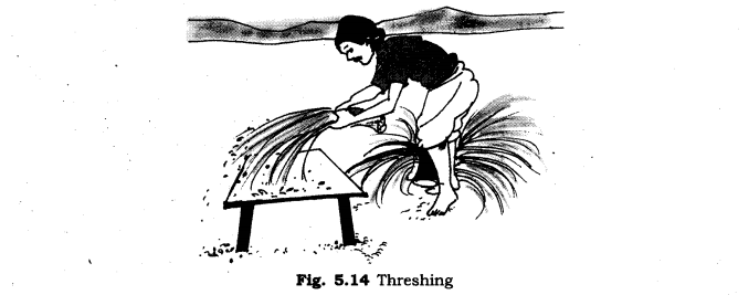 NCERT Solutions for Class 6 Science Chapter 5 Separation of Substances LAQ Q1
