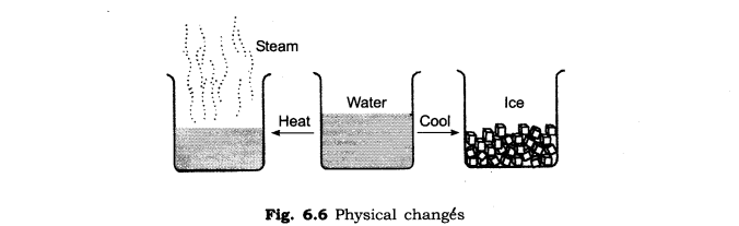 NCERT Solutions for Class 6 Science Chapter 6 Changes Around Us SAQ Q1