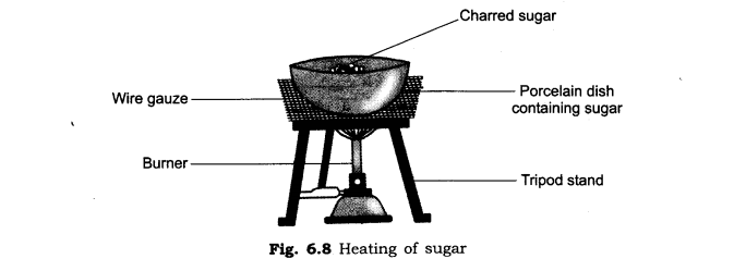 NCERT Solutions for Class 6 Science Chapter 6 Changes Around Us SAQ Q3
