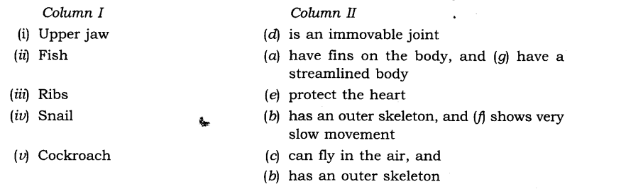 NCERT-Solutions-for-Class-6-Science-Chapter-8-Body-Movements-Q3