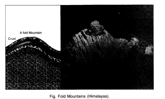 NCERT SolutiNCERT Solutions for Class 6 Social Science Geography Chapter 6 Major Landforms of the Earth LAQ Q2ons for Class 6 Social Science Geography Chapter 6 Major Landforms of the Earth LAQ Q2