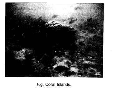 NCERT Solutions for Class 6 Social Science Geography Chapter 7 Our Country India SAQ Q4
