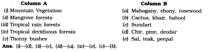 NCERT Solutions for Class 6 Social Science Geography Chapter 8 India Climate Vegetation and Wildlife Matching Skills